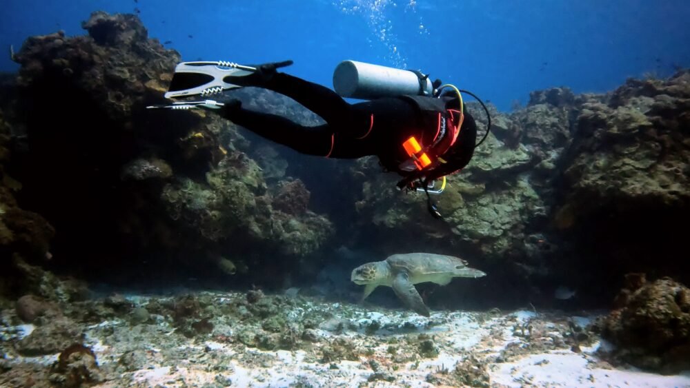 Diving with a sea turtle in Cozumel with Allison Green in the water and white fins in Cozumel