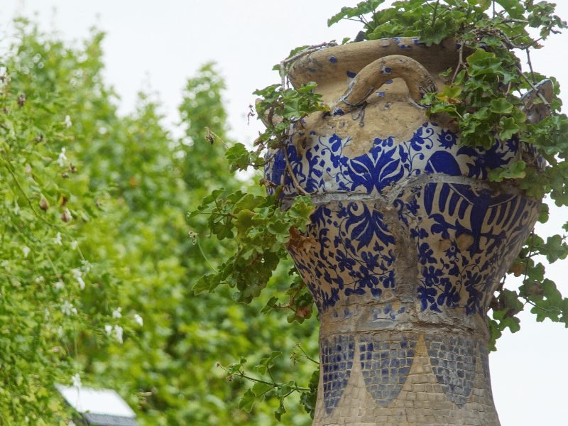 plant with blue and white azulejo-style tile reminiscent of Portuguese tile with lots of greenery