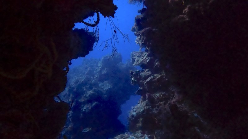 The landscapes of Palancar in the water while diving in Cozumel