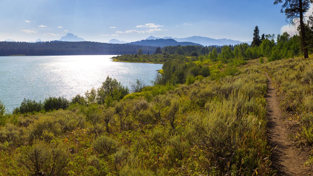 Two Oceans Lake trail going around the entire lake in Grand Teton National Park on a beautiful sunny day
