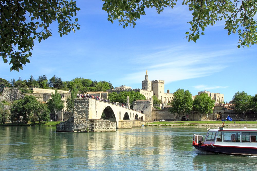 view of the avignon bridge from afar