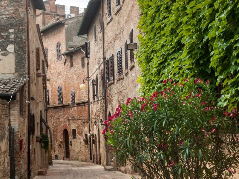 a beautiful street in certaldo, tuscany, with buildings with greenery alongside the face of the building