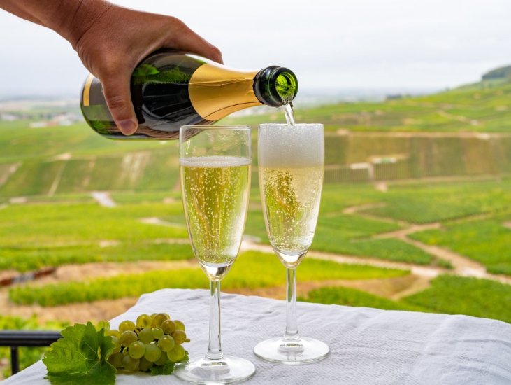 Champagne Moet and Chandon Private Tour with Tastings from Reims