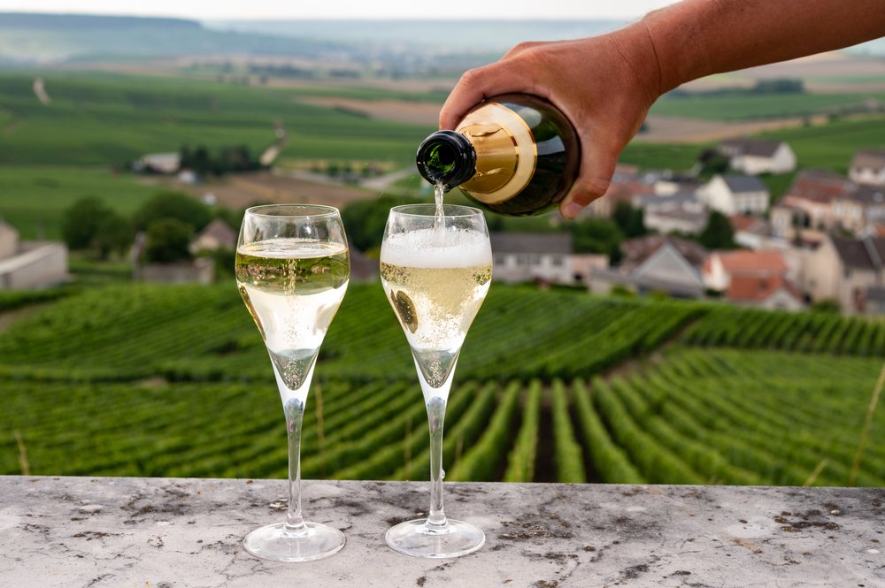 Tasting of brut and demi-sec white champagne sparkling wine from special flute glasses with view on green Champagne vineyards