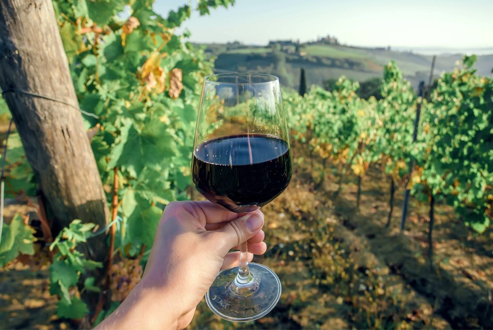 hand holding a glass of chianti wine