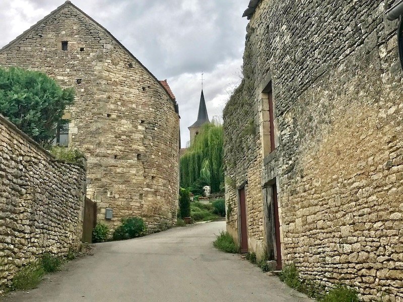 the charming medieval french town of flavigny with brick architecture and rounded turrets and a willow tree in the background near a church or bell tower