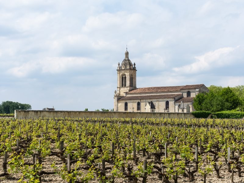 a church style building with vineyards blooming with spring grapes on a partly cloudy overcast day in bordeaux countryside of margaux