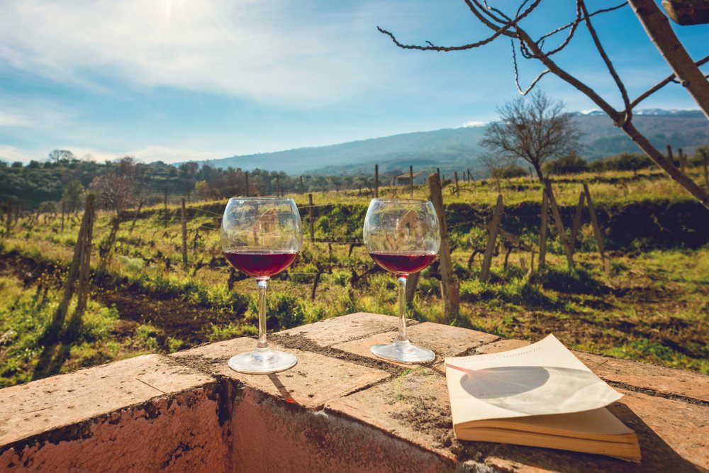 drinking nero d'avola wine in the sicily countryside with two glasses at a wine tasting in etna