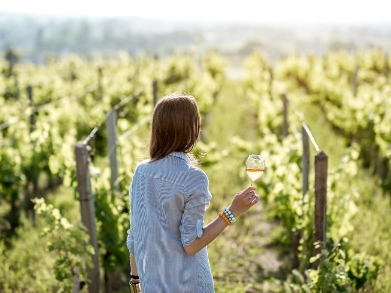a woman with a glass of white or rose wine, looking onto the vineyards into the setting sun afternoon light