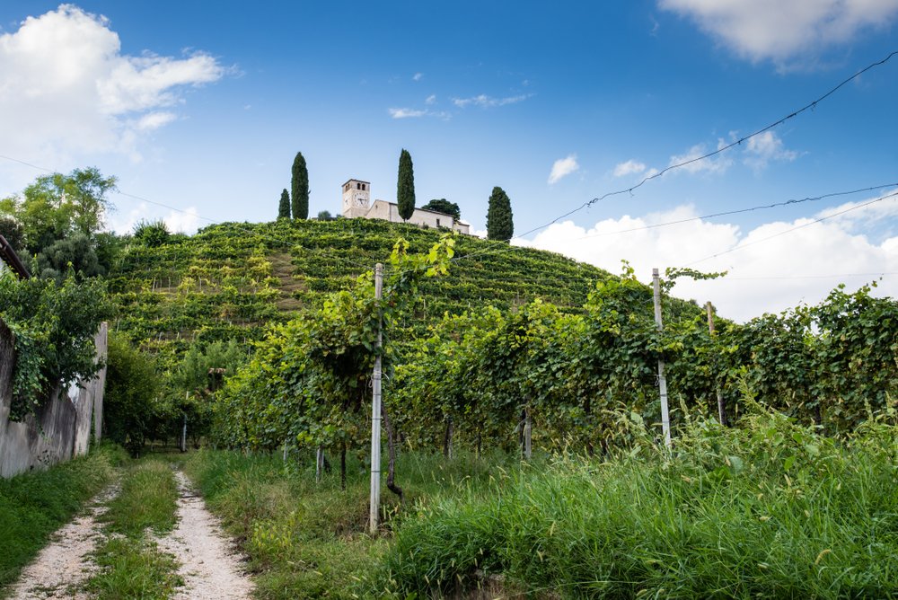 The road of the Prosecco wine, these hills are a Unesco world heritage, with steeply terraced hills wiht vineyards and a castle-like building atop the hill