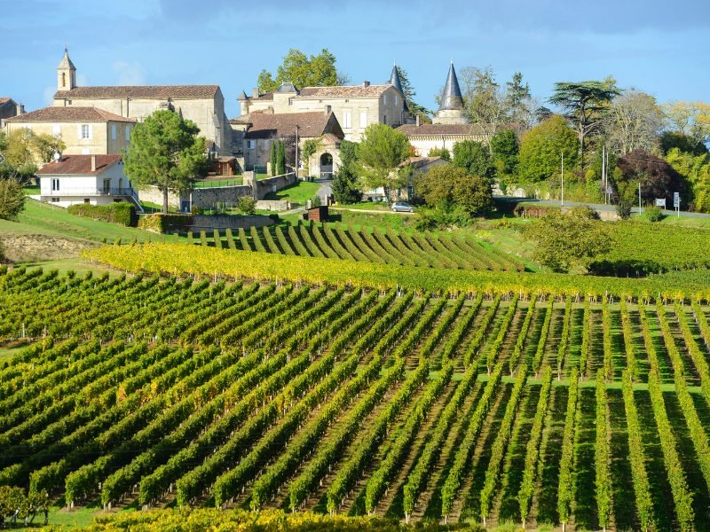 the straight line rows of vineyards in bordeaux, with the town of st. emilion and its gray medieval architecture behind it