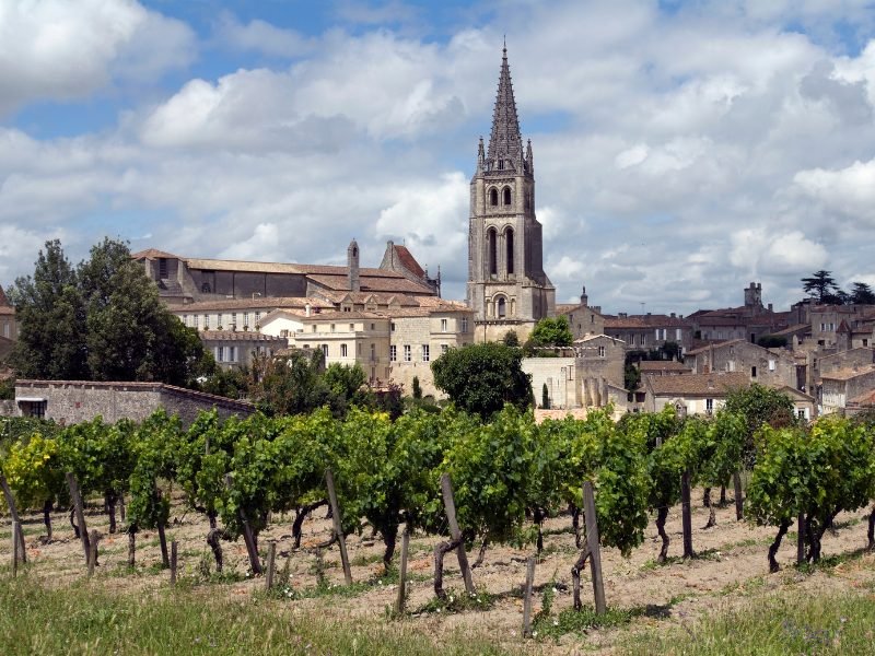 The vineyards of st. emilion with the city's landscape behind it with a large tower with gothic detailin