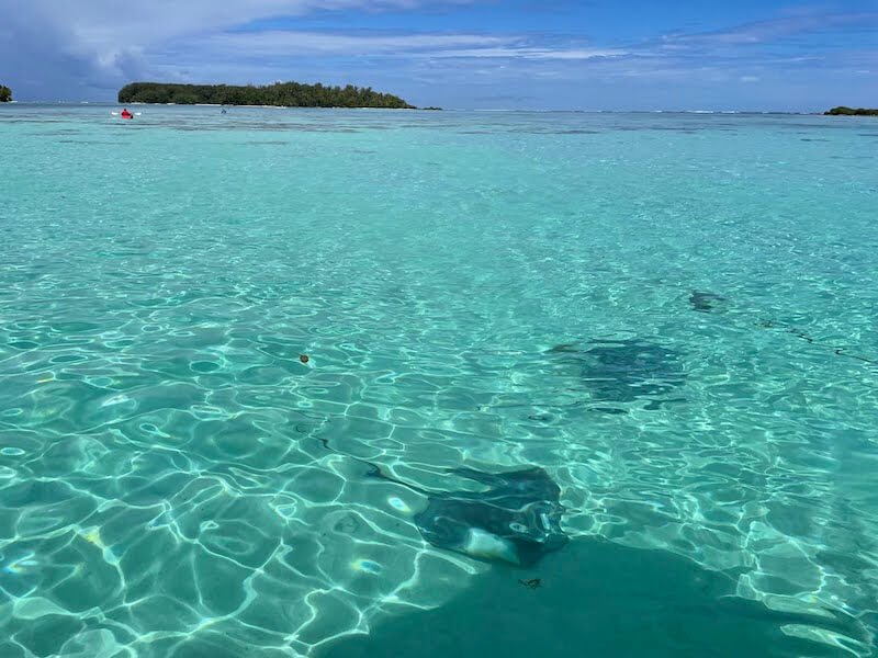 rays visible from the water of moorea's lagoon