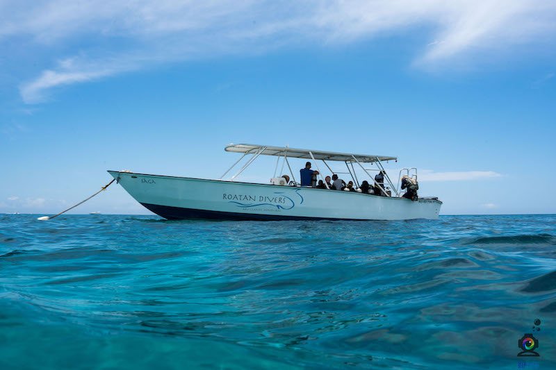 roatan diver boat from the water surface