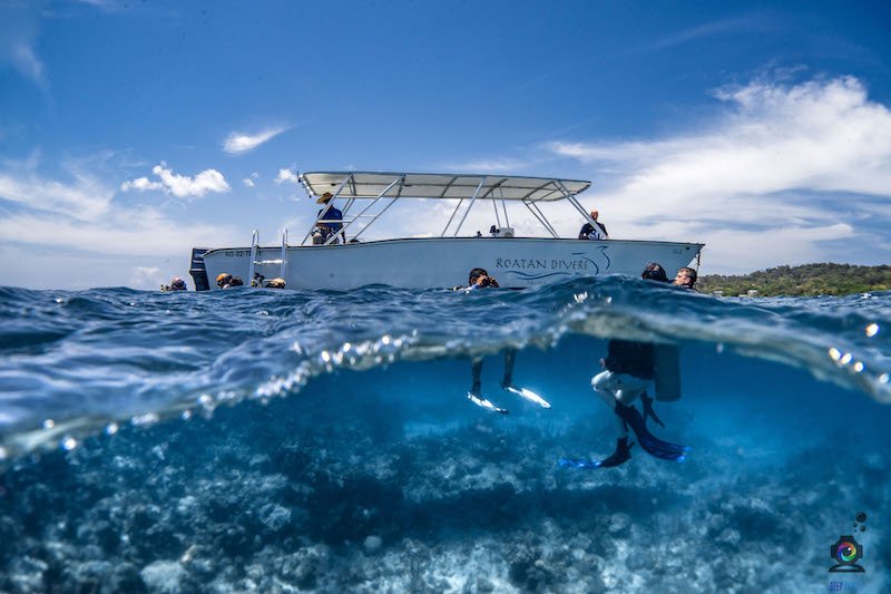 divers half in, half out of the water with roatan divers boat in the background