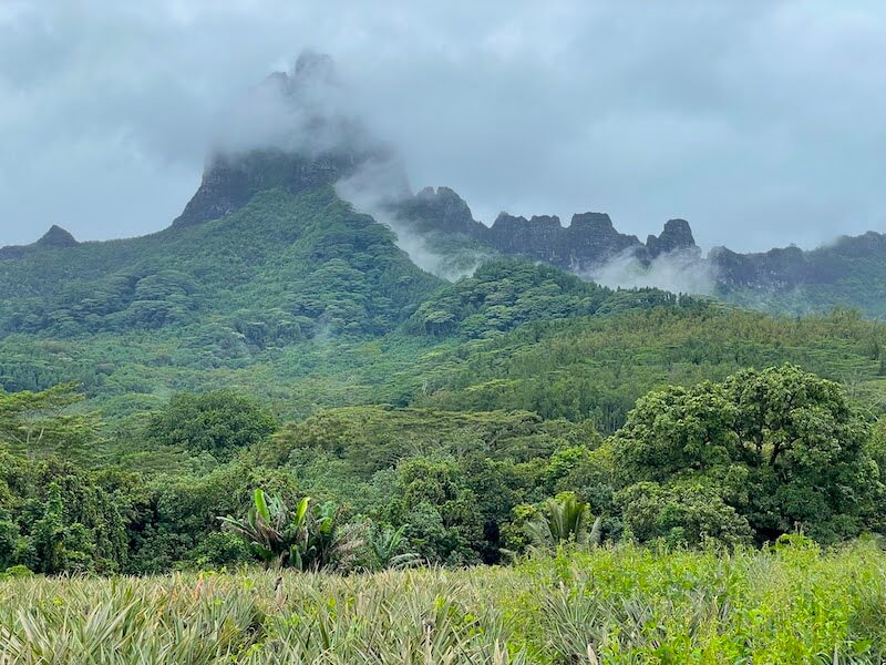 a moody landscape of moorea with low-lying clouds and mountains and pineapple fields