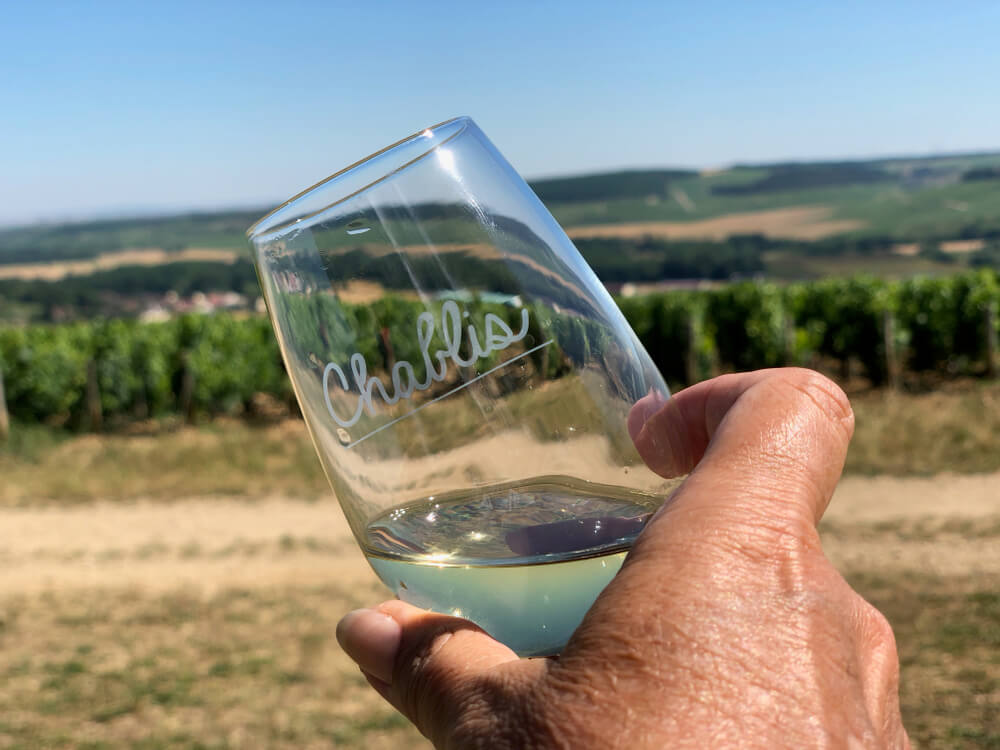 french wine called chablis, in a vineyard, with a man's hand holding the glass