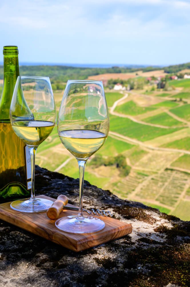 Outdoor tasting of white or jaune Jura wine on vineyards near Chateau-Chalon village in Jura region, France
