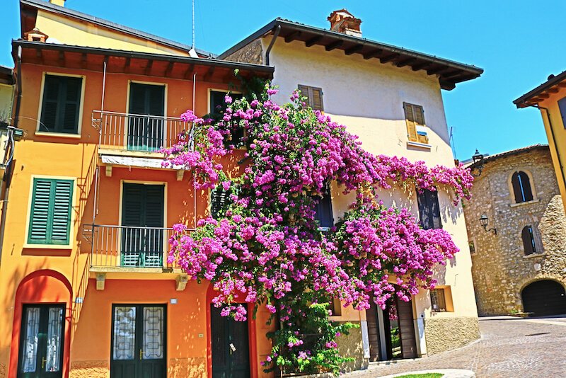 Traditional street and beautiful houses facades in Gardone Riviera at Garda Lake, with a brilliant pink-flowered tree and orange and green-shutter building and old fashioned stone buildings in the background