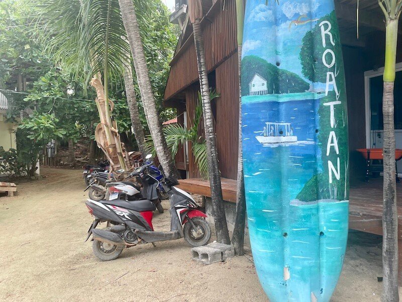 surfboard that reads roatan with painted scene