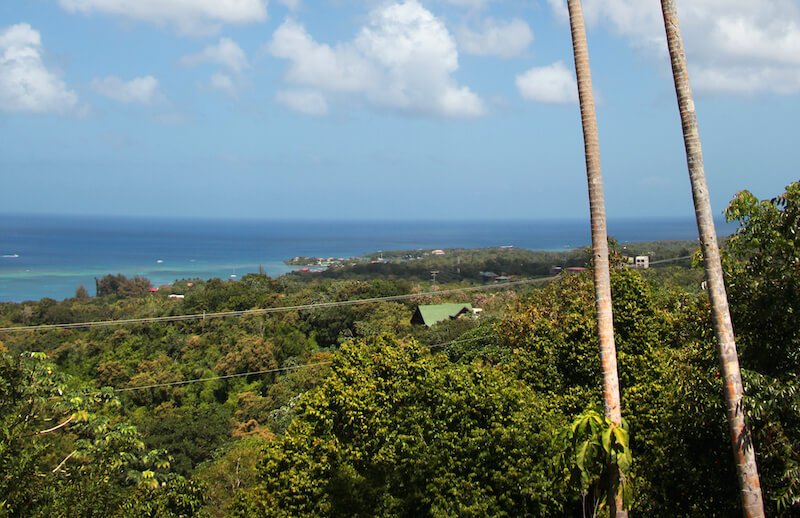 ziplines through the canopy of roatan with view of the caribbean waters on the other side of the forest