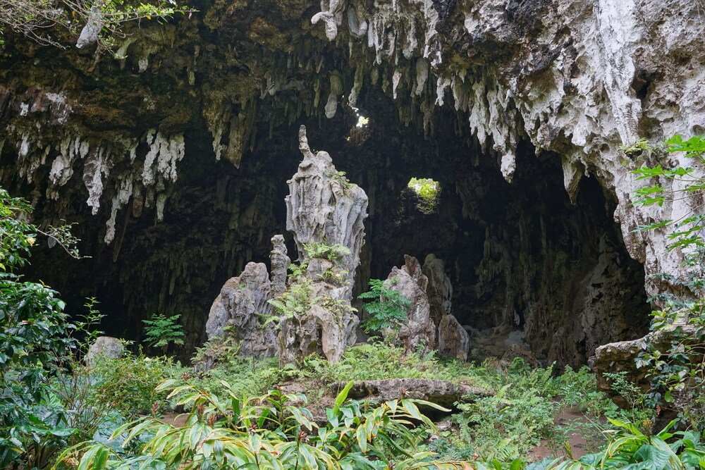 Entrance of a large limestone cavern with stalactites and stalagmites, Ana aeo, Rurutu island, south Pacific, Australes archipelago, French Polynesia