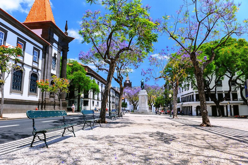 the city center of funchal with trees and beautiful flowers and blue sky and free of people