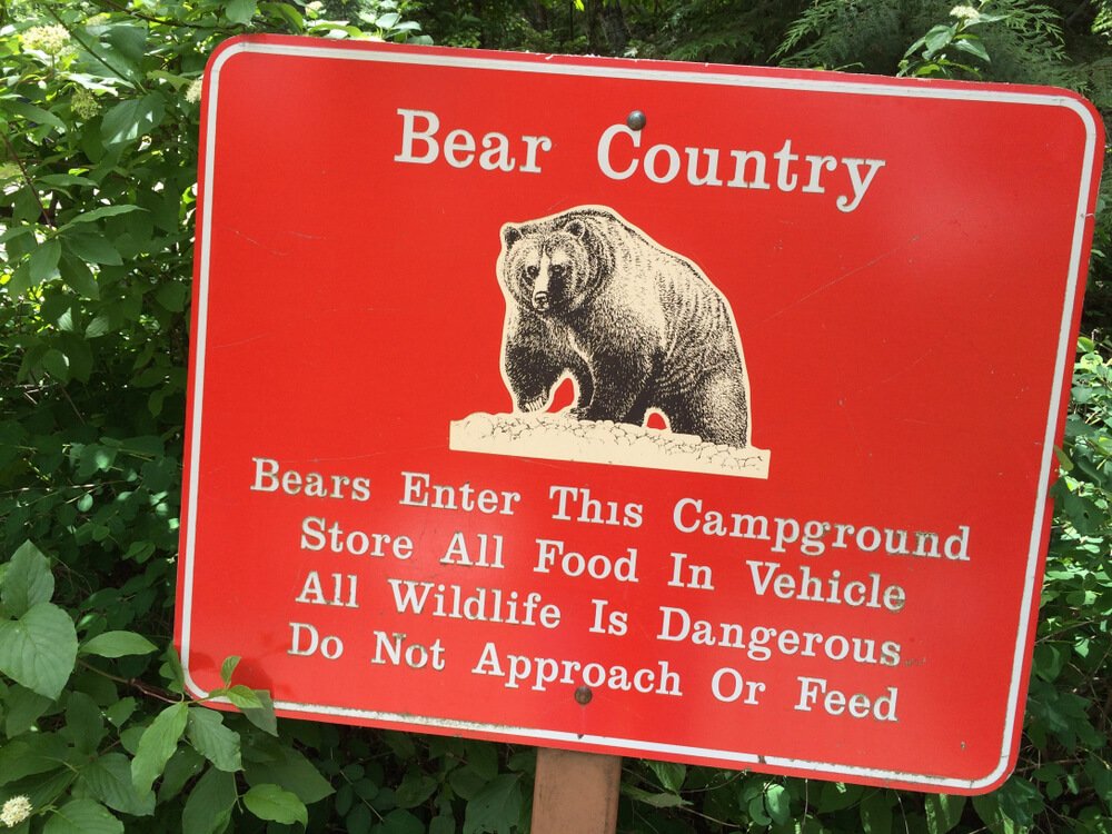 red sign that has a picture of a bear and reads: "bear country. bears enter this campground. store all food in vehicle. all wildlife is dangerous. do not approach or feed."