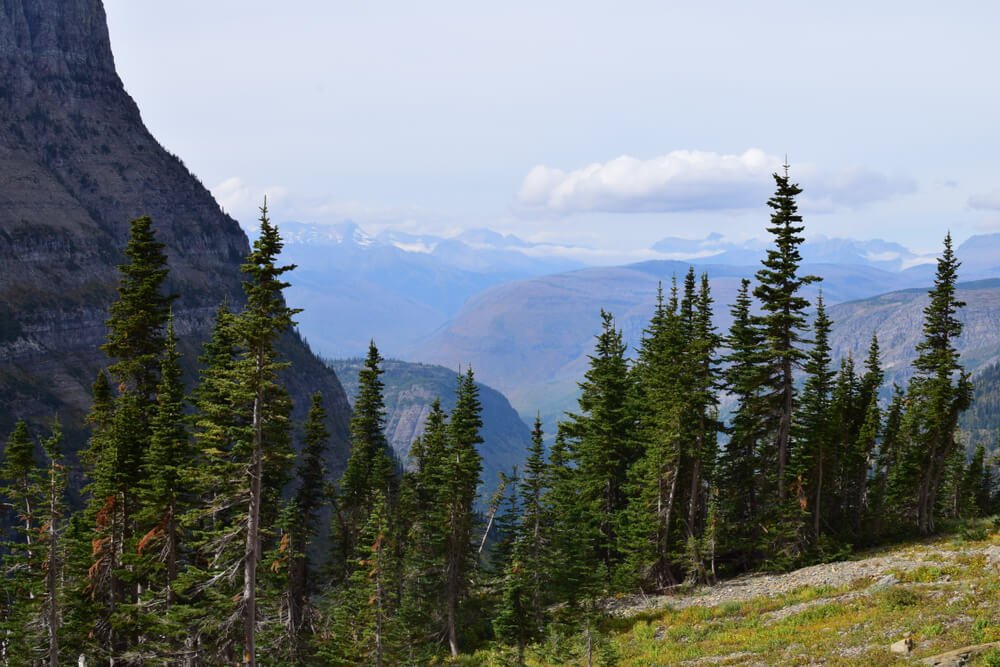 Scenic landscape from the Highline trail, near Logan pass visitor center, by the going-to-the-sun road, in Glacier National Park, USA