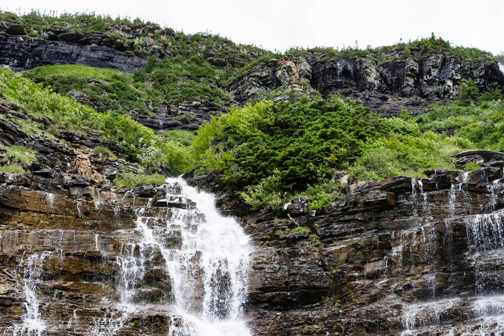 Weeping wall waterfall along Going-to-the-sun road in Glacier National Park, USA