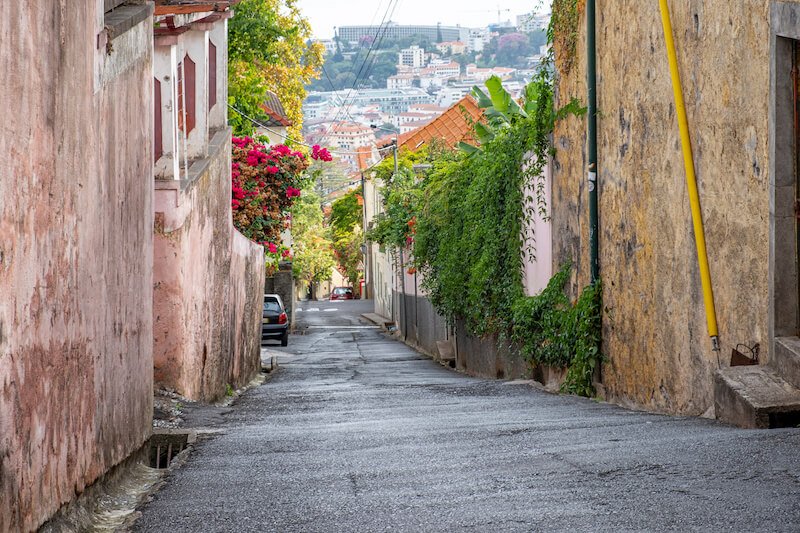 Madeira steep street with flowers and trees, looking down the road, in Funchal, Madeira