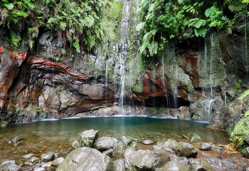 Madeira waterfall - 25 Fontes or 25 Springs in English, with lots of small waterfalls dripping into a natural pool, with lush greenery around the spring