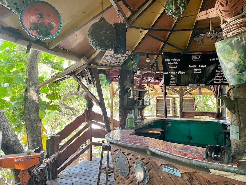 the spectacular treetop bar, treetanic, during the day time with the bar and a few decorations visible