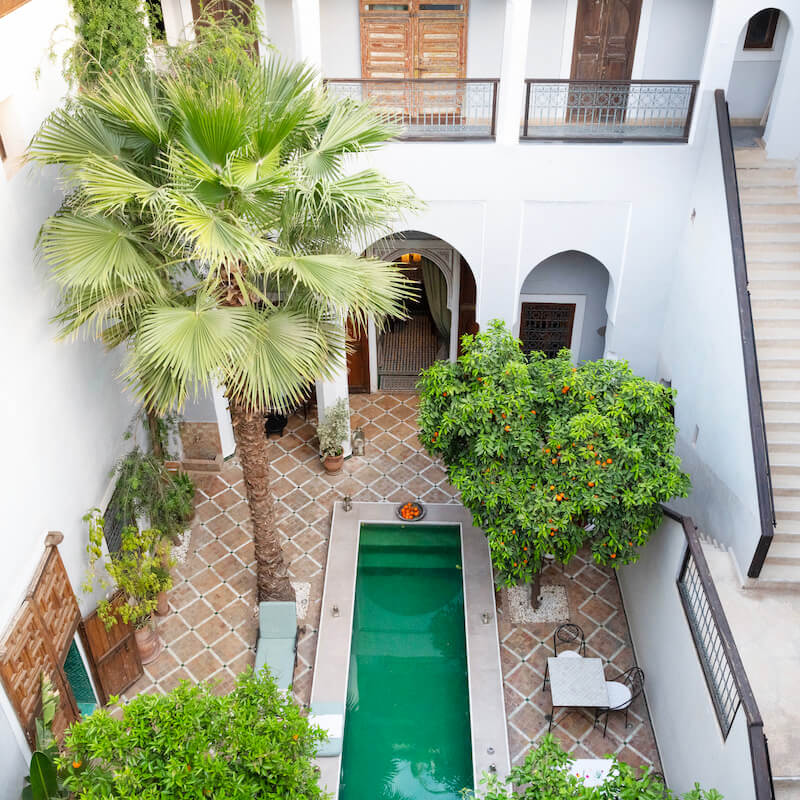 the beautiful pool courtyard area of Riad Rihani with orang trees and a large dipping pool and a palm tree and sun terrace with chairs and lounge furniture