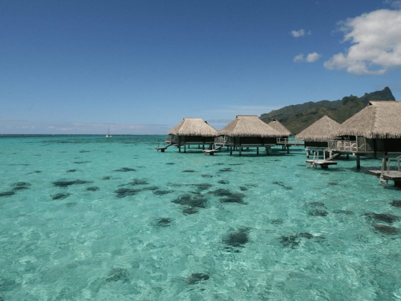 a handful of overwater bungalows in moorea at the hilton