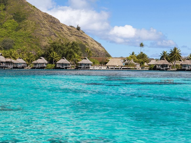 bungalows at the hilton moorea with aquamarine waters and mountain background