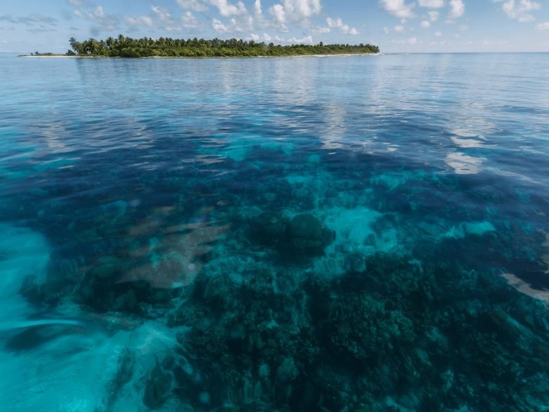 view of waters of caye caulker with coral beneath the surface