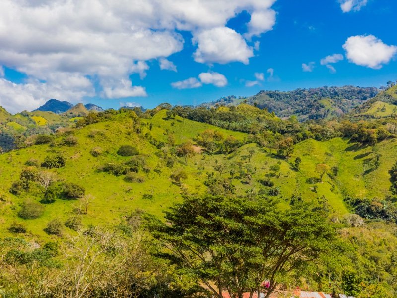 the lush green landscape of the miraflor nature reserve in nicaragua's northern area