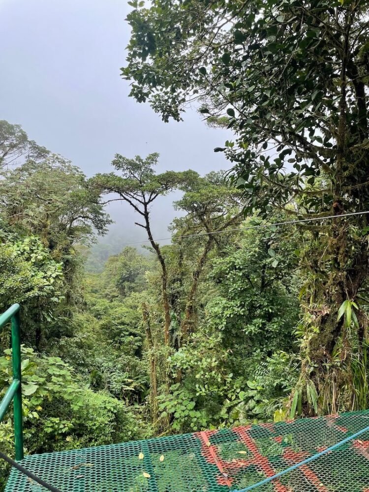 monteverde canopy tour view from the platform with cloudy sky