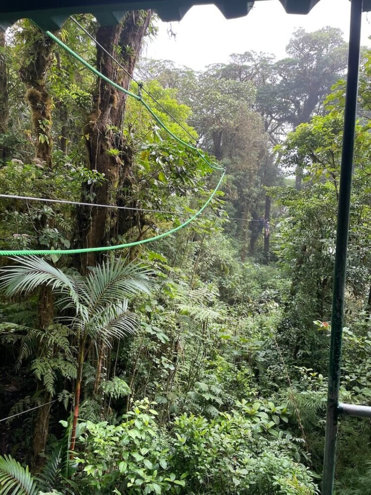 one of the ziplines in selvatura adventure park