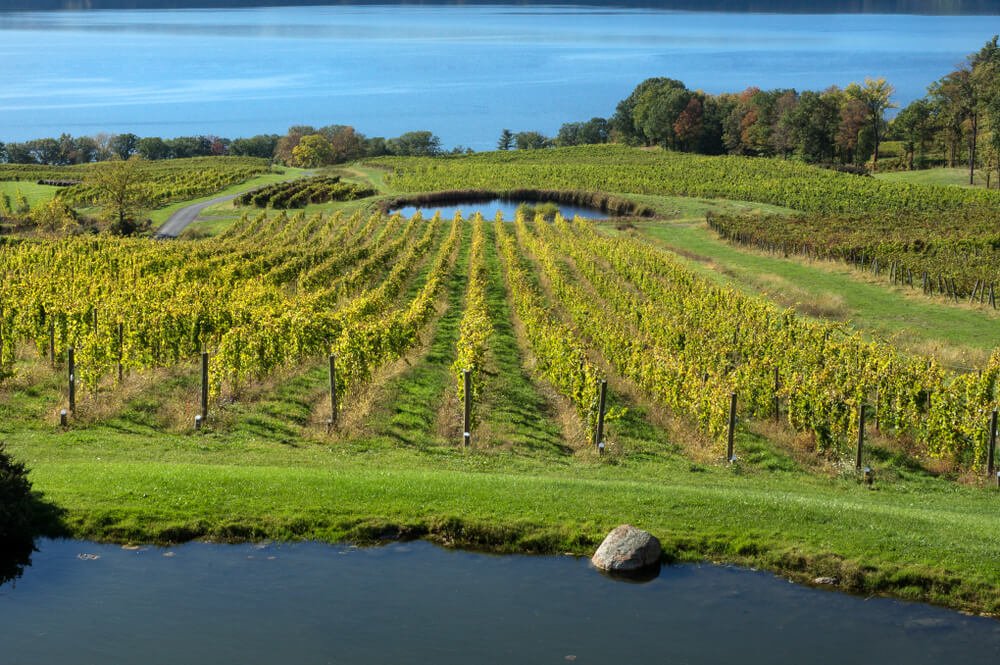 Seneca Lake Wine Trail in the Finger Lakes of New York with view of pond and vineyards and lake
