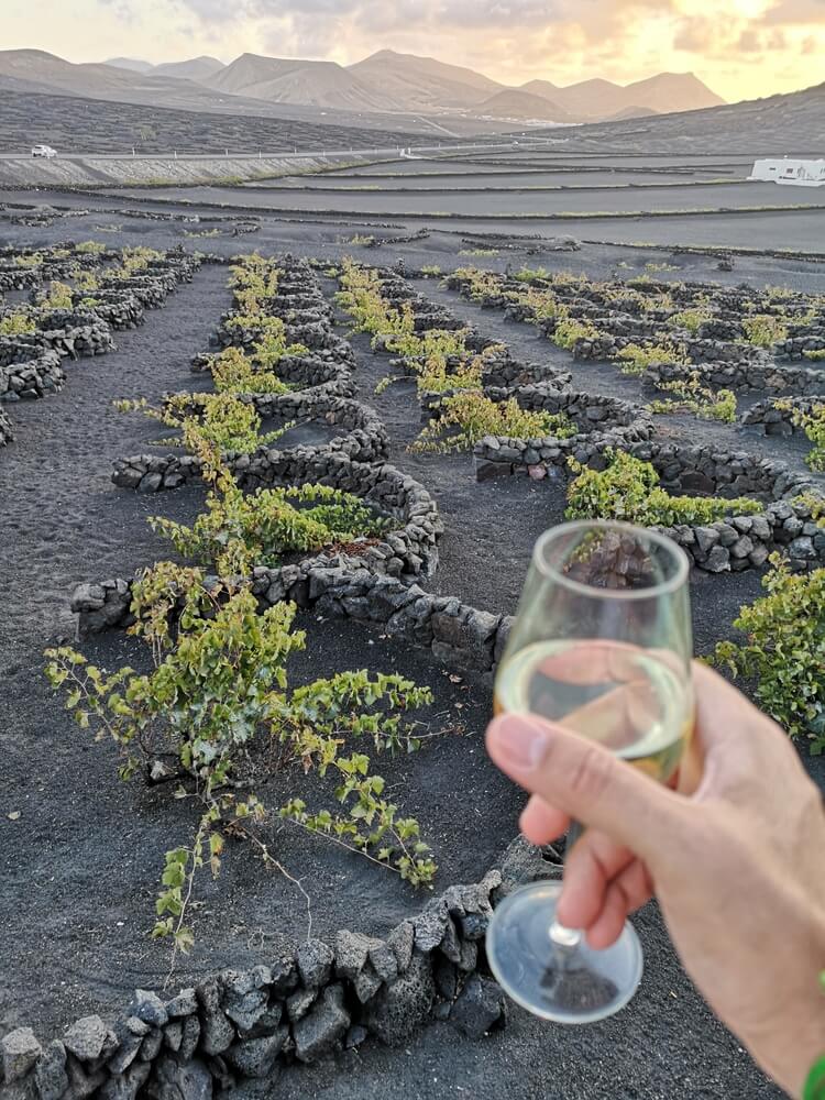 hand holding a glass of wine while looking over the volcanic terrain of lanzarote's vineyards