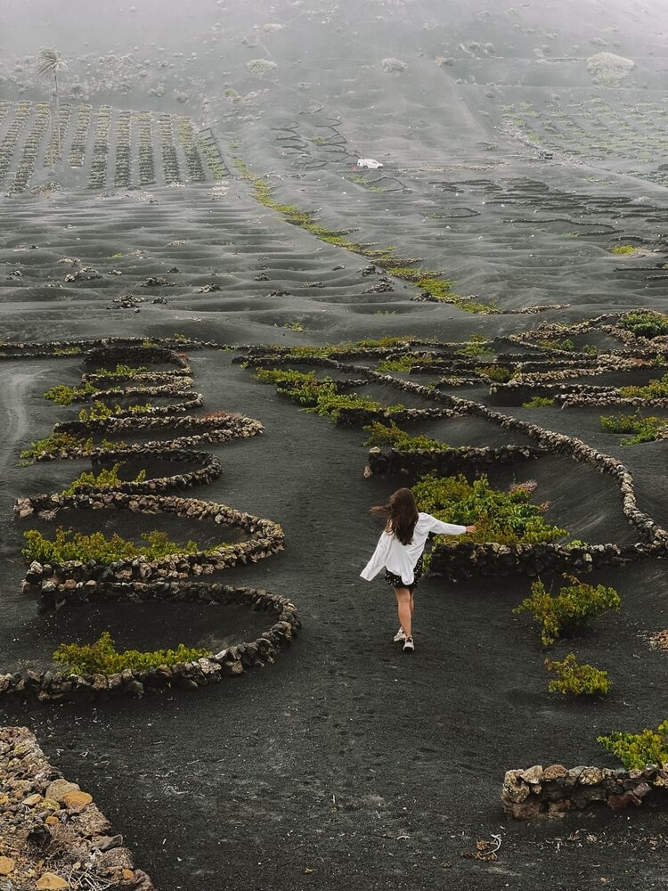 woman walking through the volcanic landscape of lanzarote and its grape growing fields