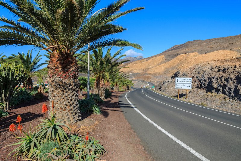 Road in Morro Jable town with palm trees growing nearby, Fuerteventura, Canary Islands, Spain
