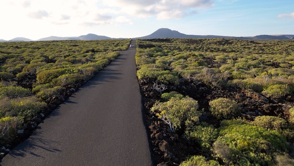 Lanzarote, Canary islands , Spain, Europe.Drone aerial view of asphalt street car road in volcanic landscape Travel in road trip immersed in Timanfaya National Park, green bushes grown volcano lava