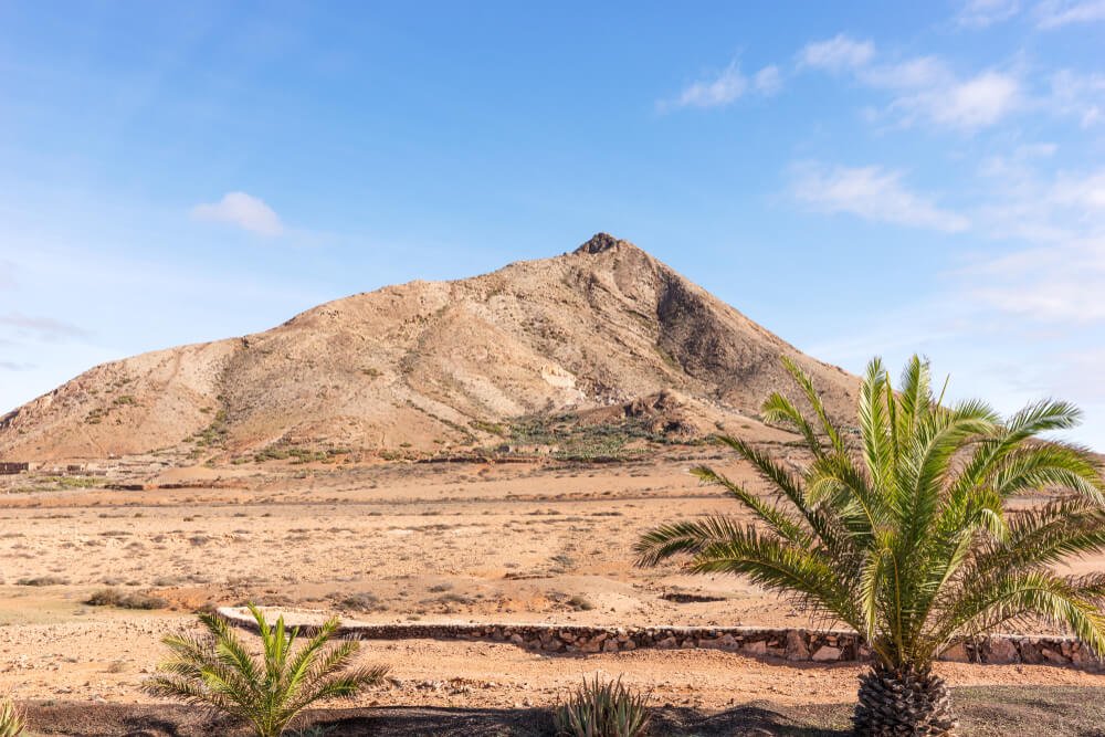 tindaya mountain with a small palm tree in front of the mountain