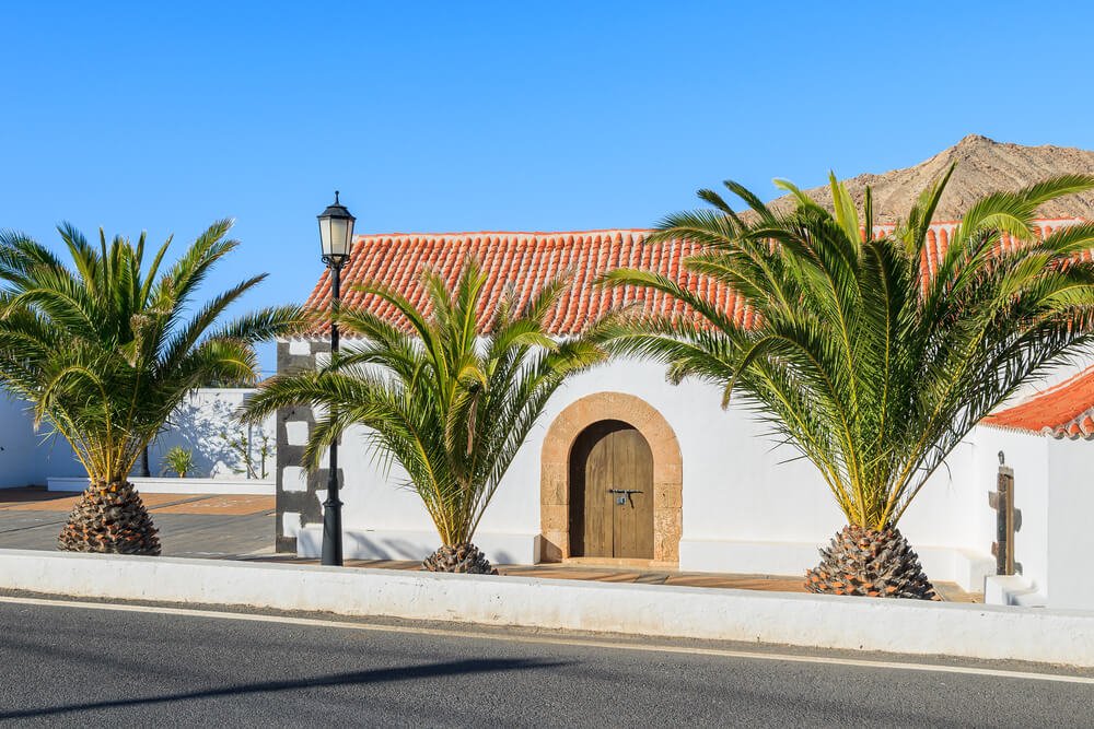 Palm trees and typical Canary style white church building in Tindaya village, Fuerteventura, Canary Islands, Spain
