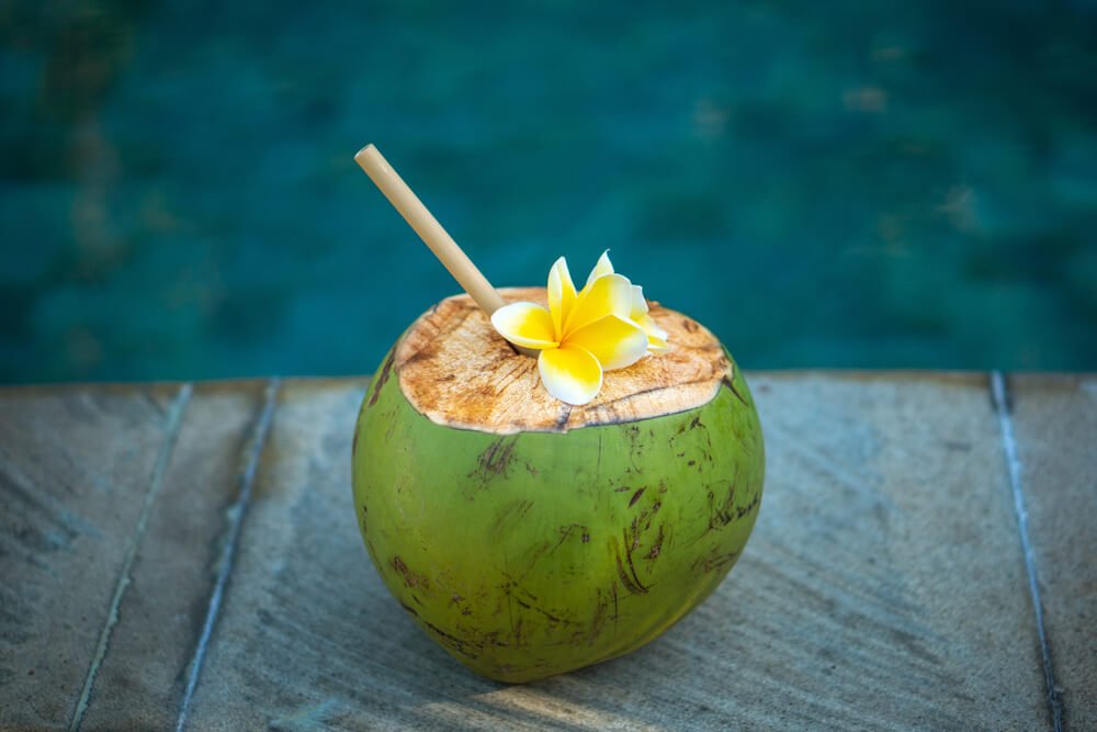 coconut with paper straw and gardenia flower near a pool