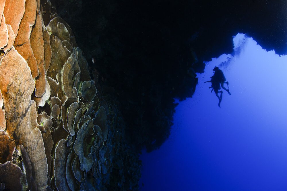 strange coral formations in the blue hole of belize