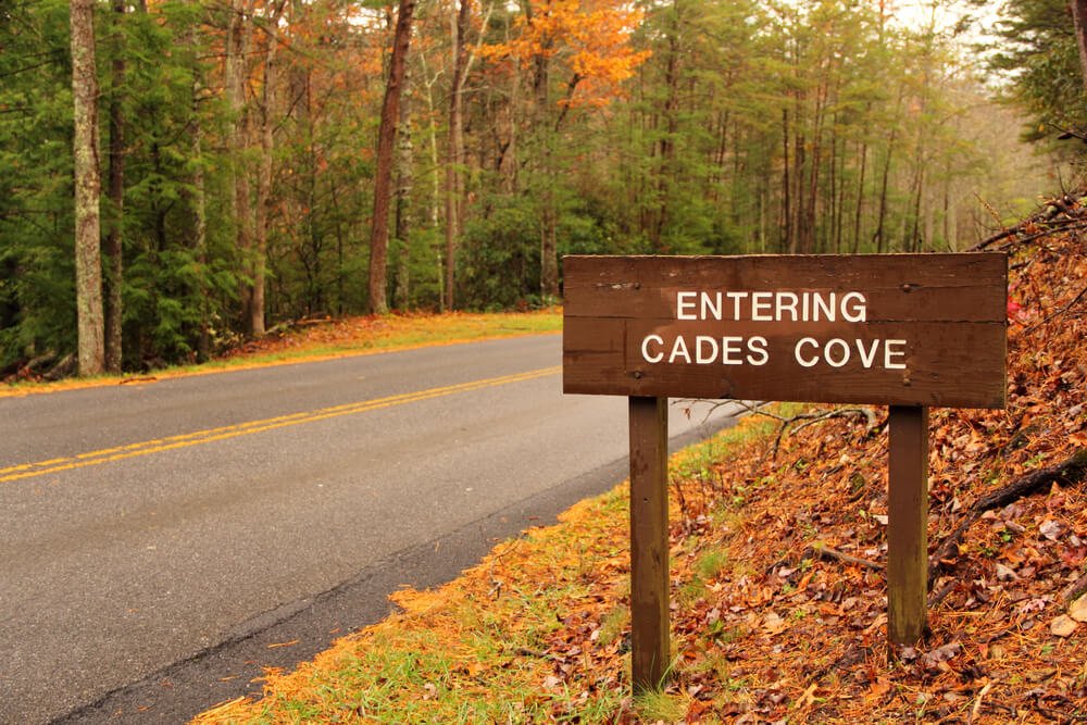 Fall foliage colors and leaves on ground with a sign that marks the entrance to Cades Cove in Great Smoky Mountains National Park